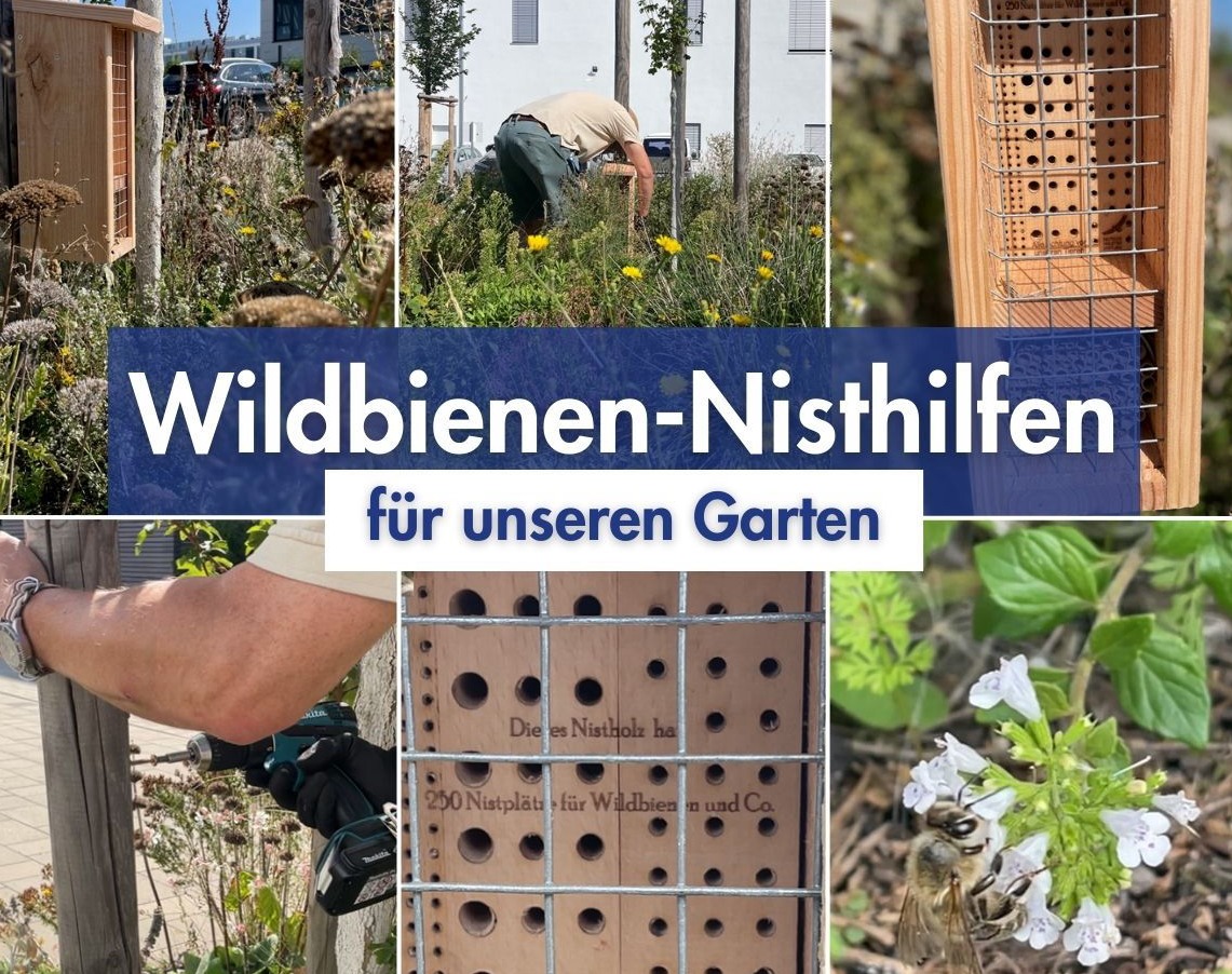 Eine Bildercollage mit Bienen-Nisthilfen und deren Aufbau